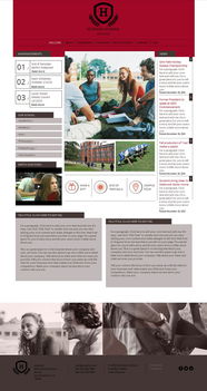 网页设计 连接创意与技术的视觉艺术